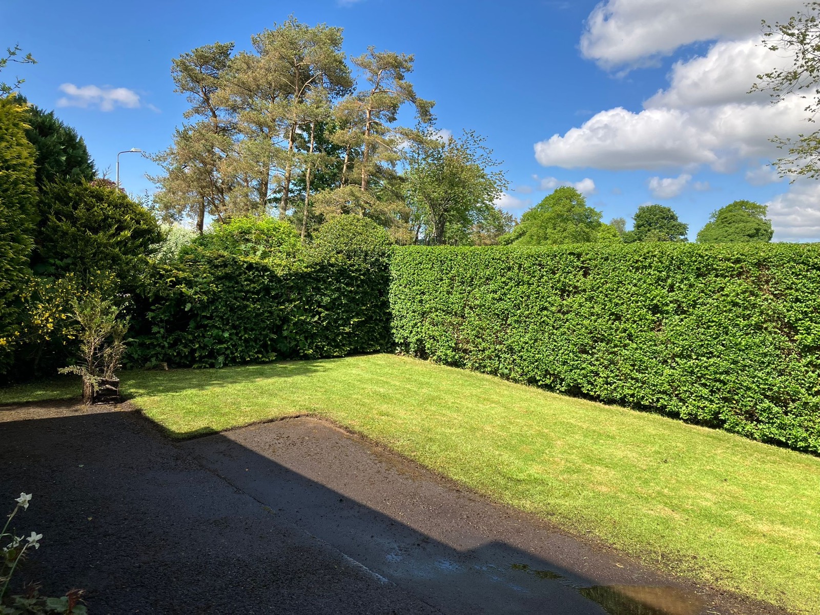 Reset driveway and front