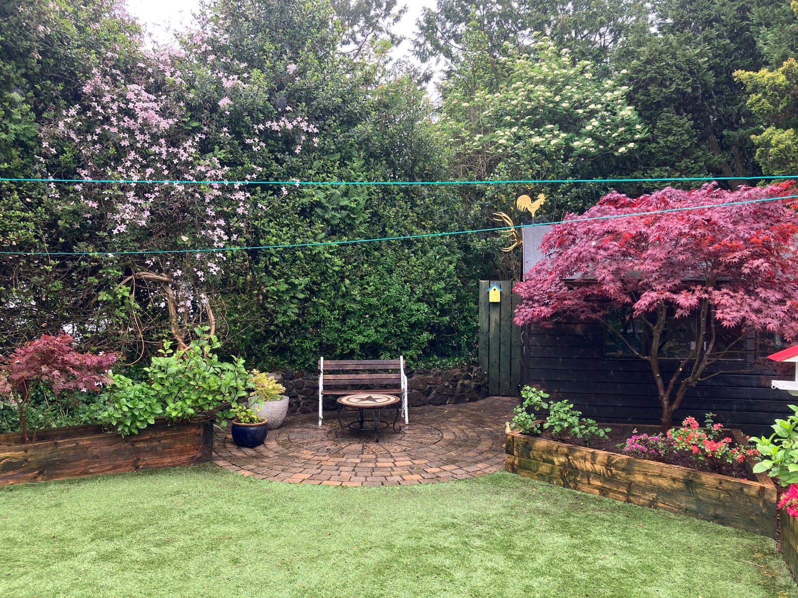 Garden brought back into bloom